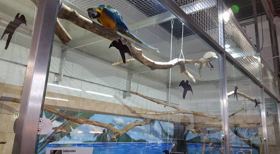 Biggest pet shop in the world